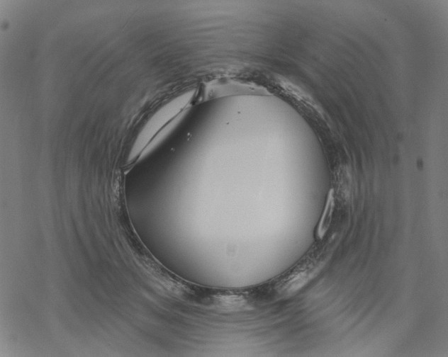 X0000068890509200605261849