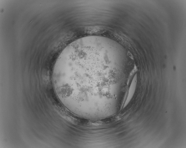 X0000068890510200605261849