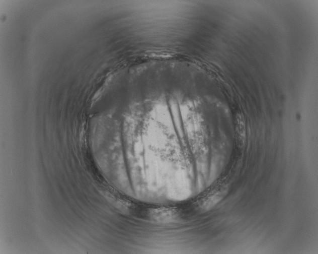 X0000068890511200605261849