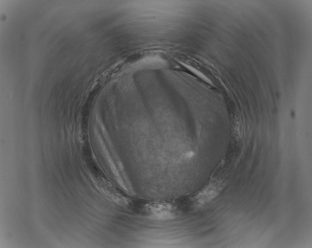 X0000068890512200605261849