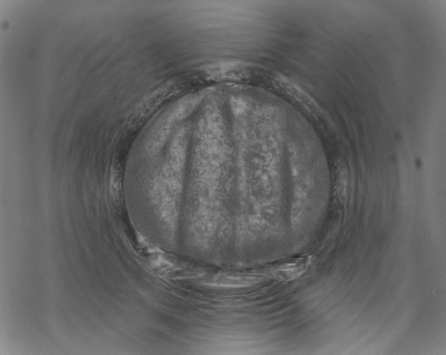 X0000068890513200605261849