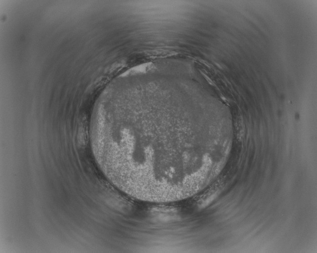 X0000068890515200605261849