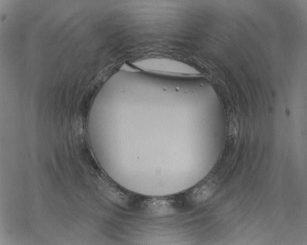 X0000068890518200605261849