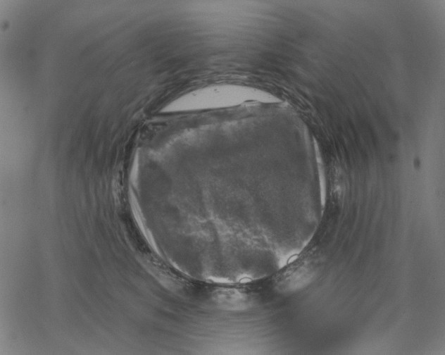 X0000068890519200605261849