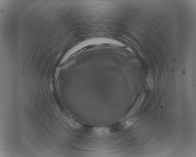 X0000068890520200605261849