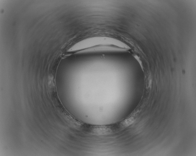 X0000068890521200605261849