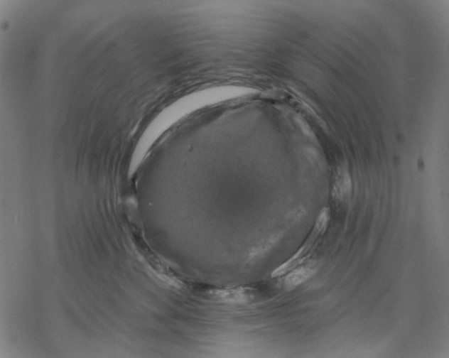 X0000068890524200605261849