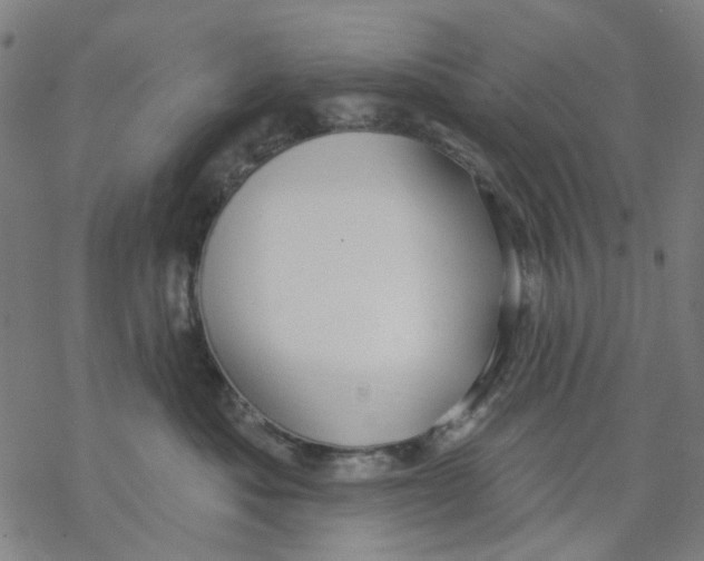 X0000068890525200605261849