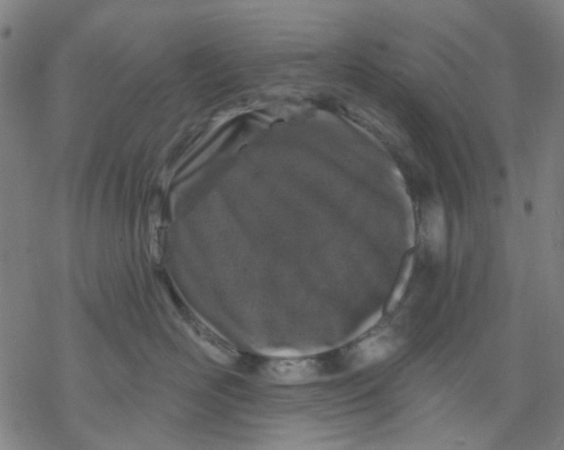 X0000068890526200605261849