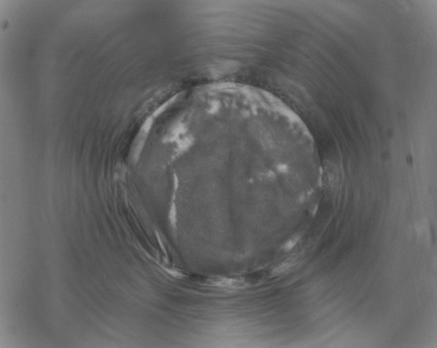 X0000068890527200605261849