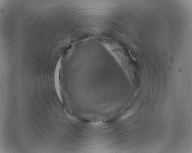 X0000068890528200605261849