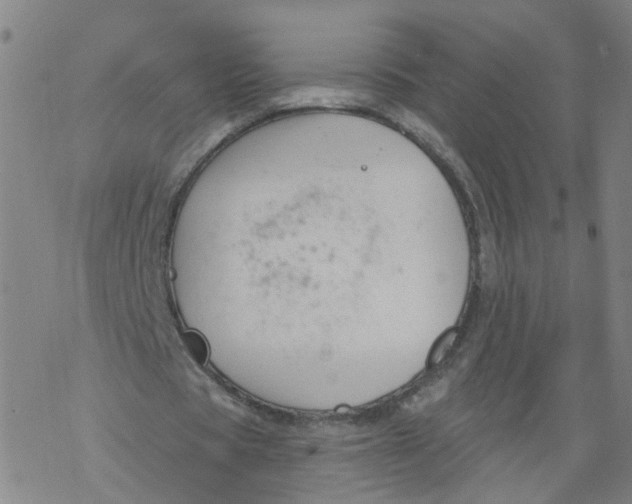 X0000068890529200605261848