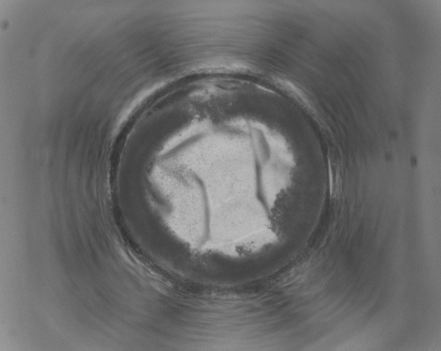 X0000068890531200605261848