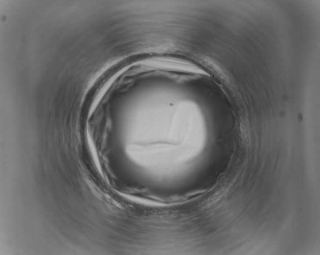 X0000068890532200605261848