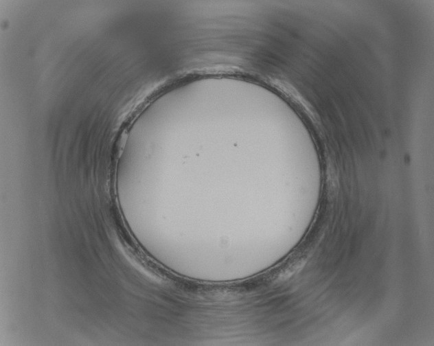 X0000068890533200605261848