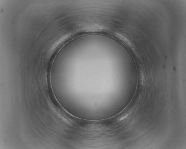 X0000068890535200605261848