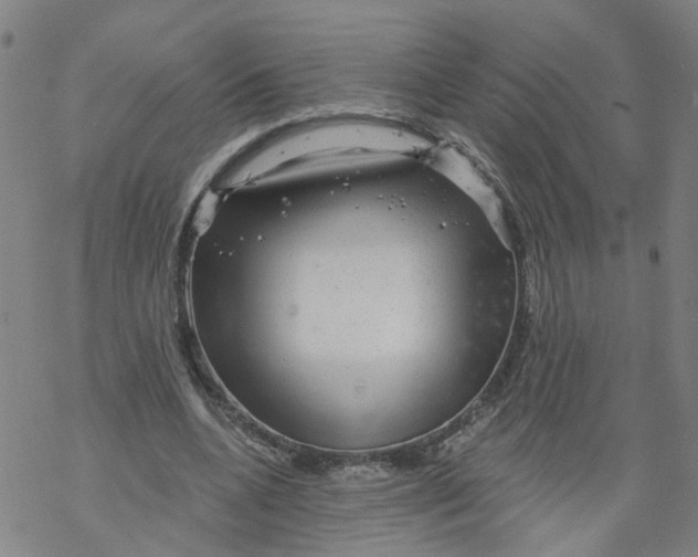 X0000068890536200605261848