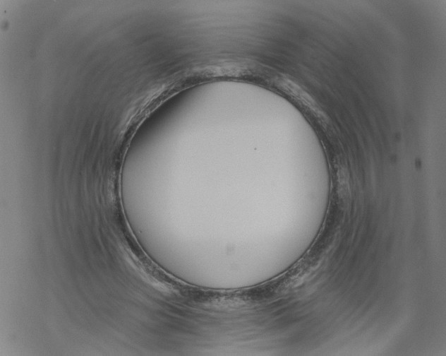 X0000068890537200605261848