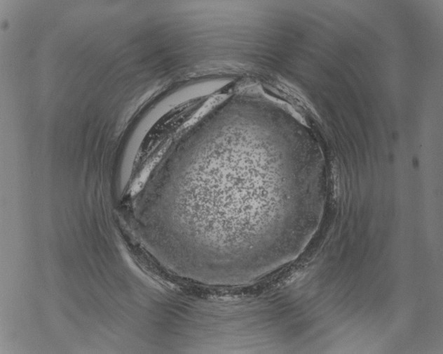 X0000068890538200605261848