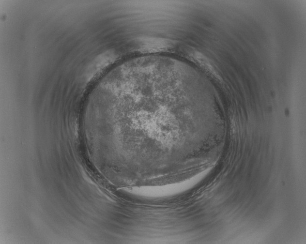 X0000068890539200605261848