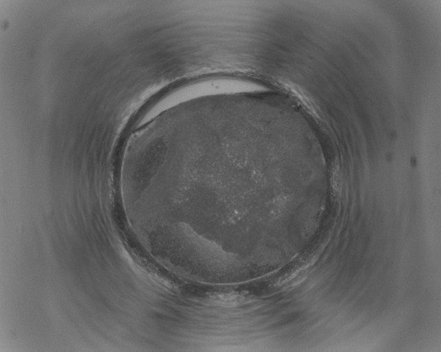 X0000068890540200605261848