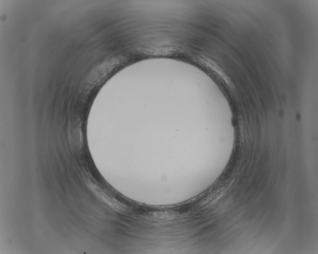 X0000068890541200605261848