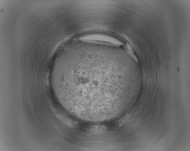 X0000068890543200605261848