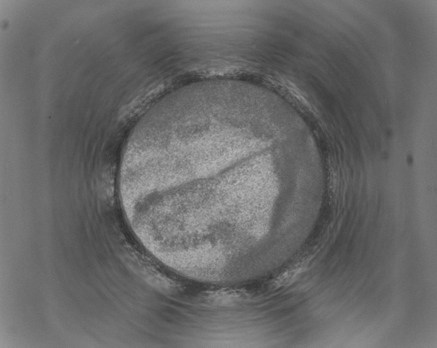 X0000068890545200605261848