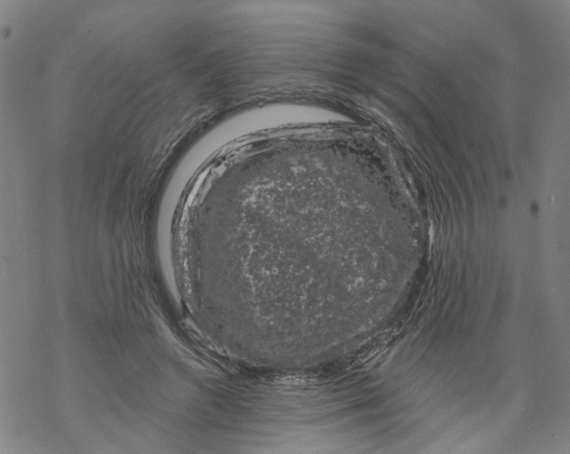 X0000068890546200605261848