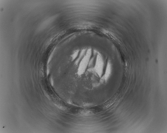 X0000068890547200605261848