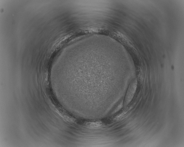 X0000068890548200605261848