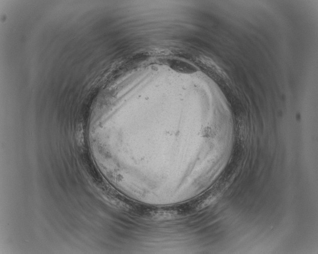 X0000068890549200605261848