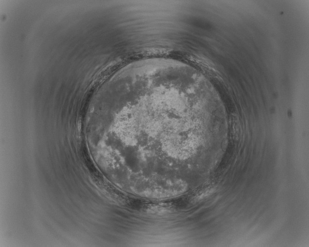 X0000068890550200605261848