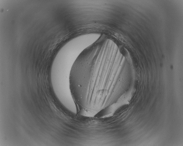 X0000068890551200605261848