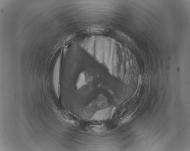 X0000068890552200605261848