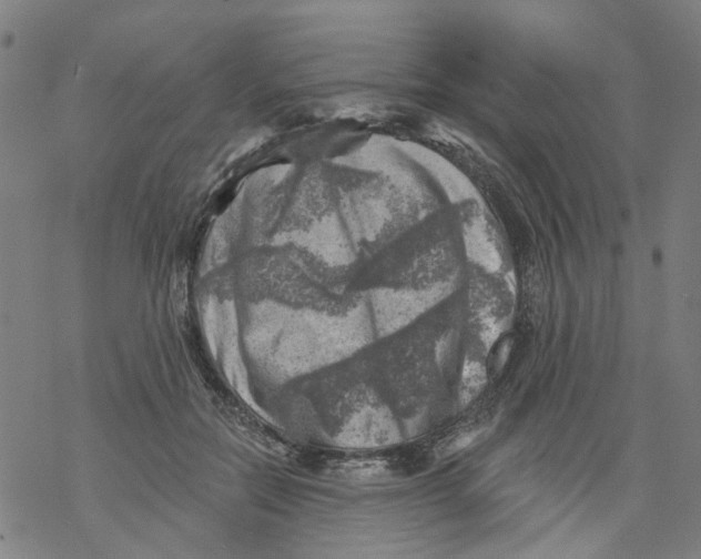 X0000068890554200605261848