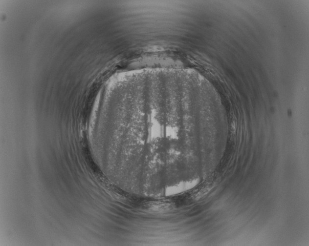 X0000068890555200605261848