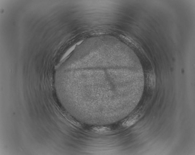 X0000068890557200605261848