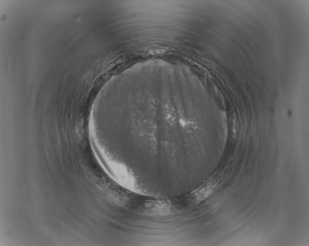 X0000068890559200605261848