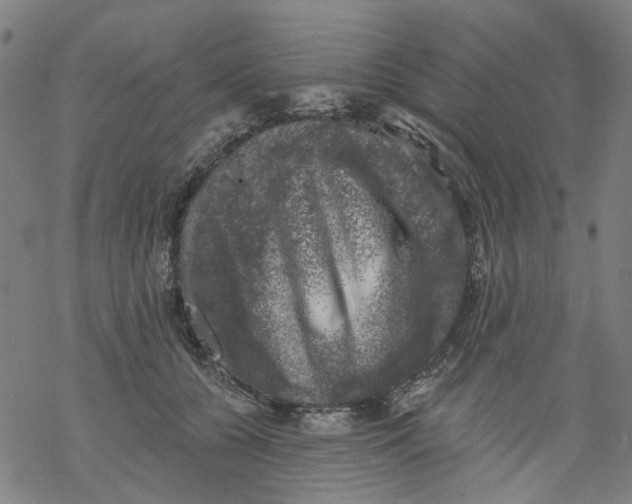 X0000068890560200605261848