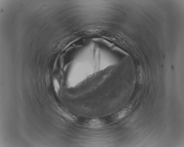 X0000068890562200605261848