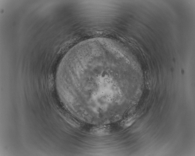 X0000068890563200605261848