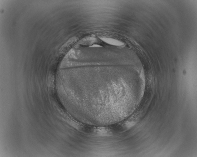 X0000068890565200605261848