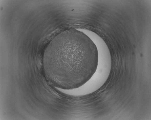 X0000068890566200605261848