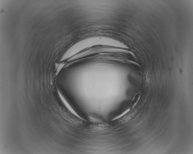 X0000068890567200605261848