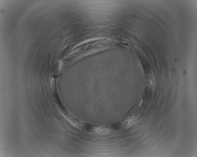 X0000068890568200605261849