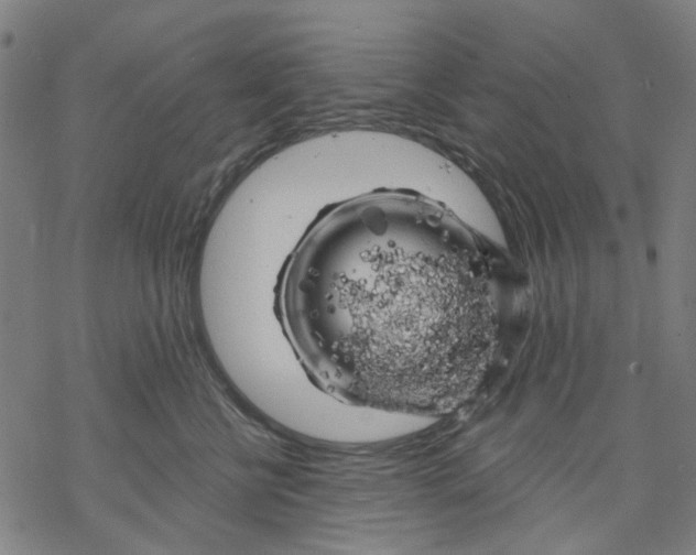 X0000068890570200605261849