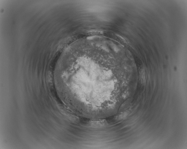 X0000068890571200605261849