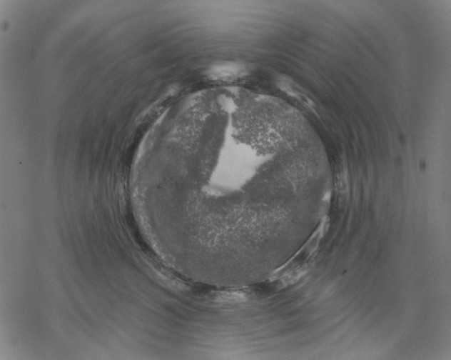 X0000068890572200605261849