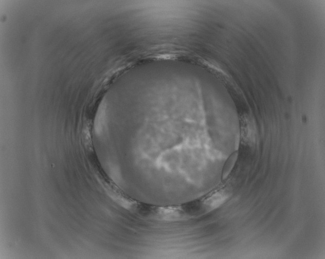 X0000068890573200605261849